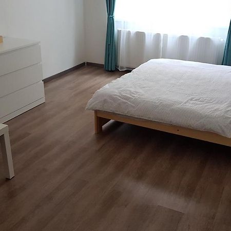 Apartman Pod Zamkem Ντέτσιν Εξωτερικό φωτογραφία